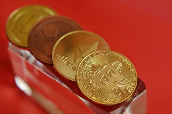 Cryptocurrency Chronicles: Surfing the Digital Gold Rush