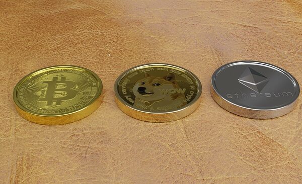 Dogecoin and Toncoin: Meme