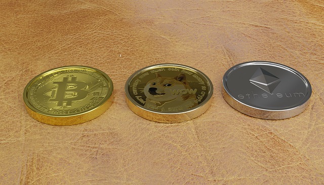 Dogecoin and Toncoin: Meme